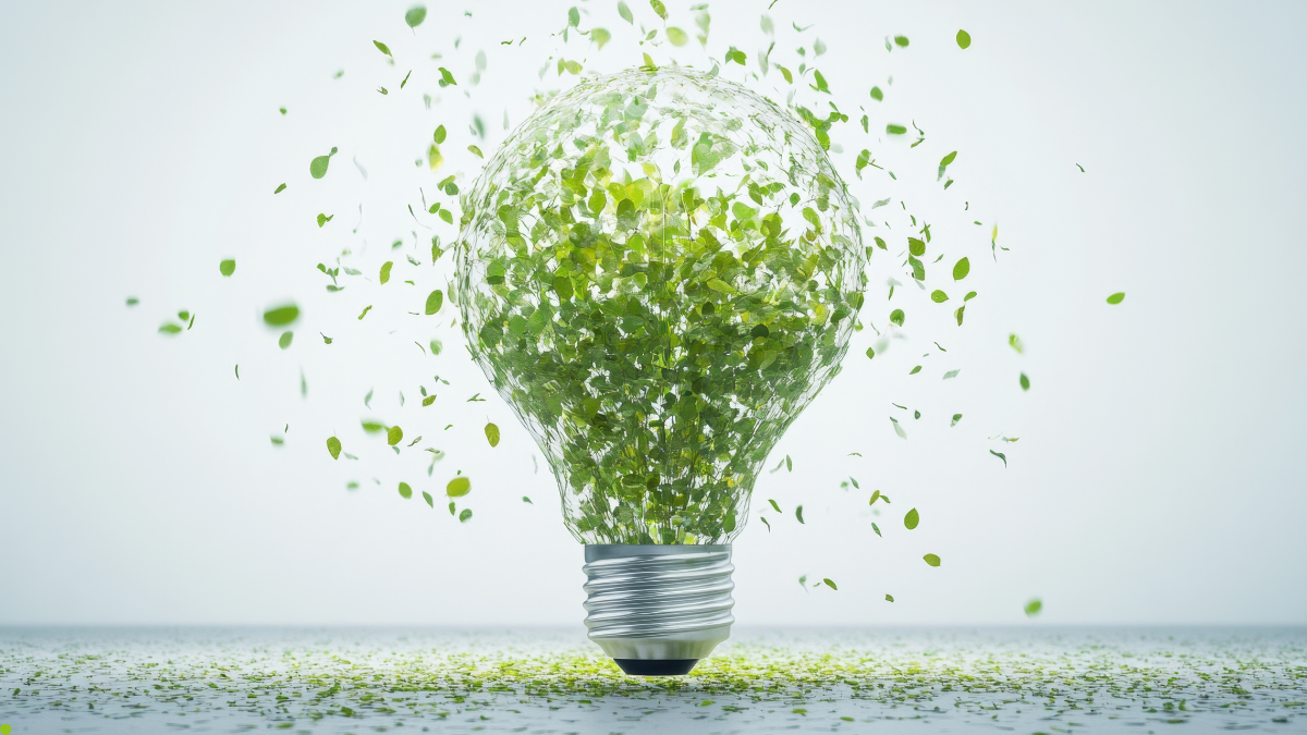 Tate welcomes new government measures to accelerate clean energy deployment